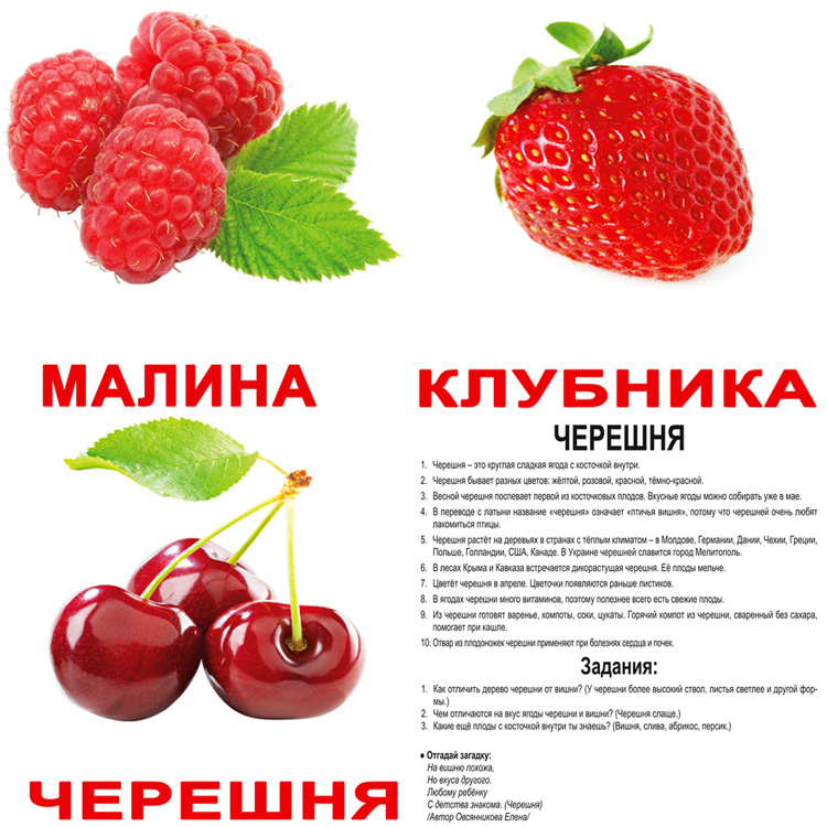 "Ягоды" (с фактами и заданиями), карточки большие (16,5х19,5)
