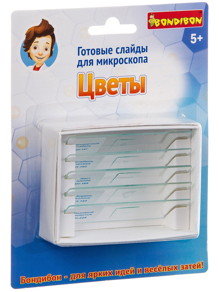 Слайды для микроскопа. Цветы