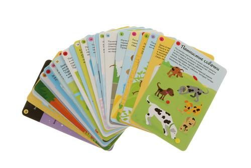 Тренируем память. Робинс