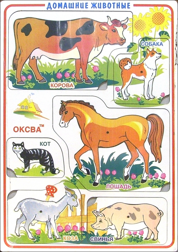 Рамки-вкладыши Домашние животные, дерев.