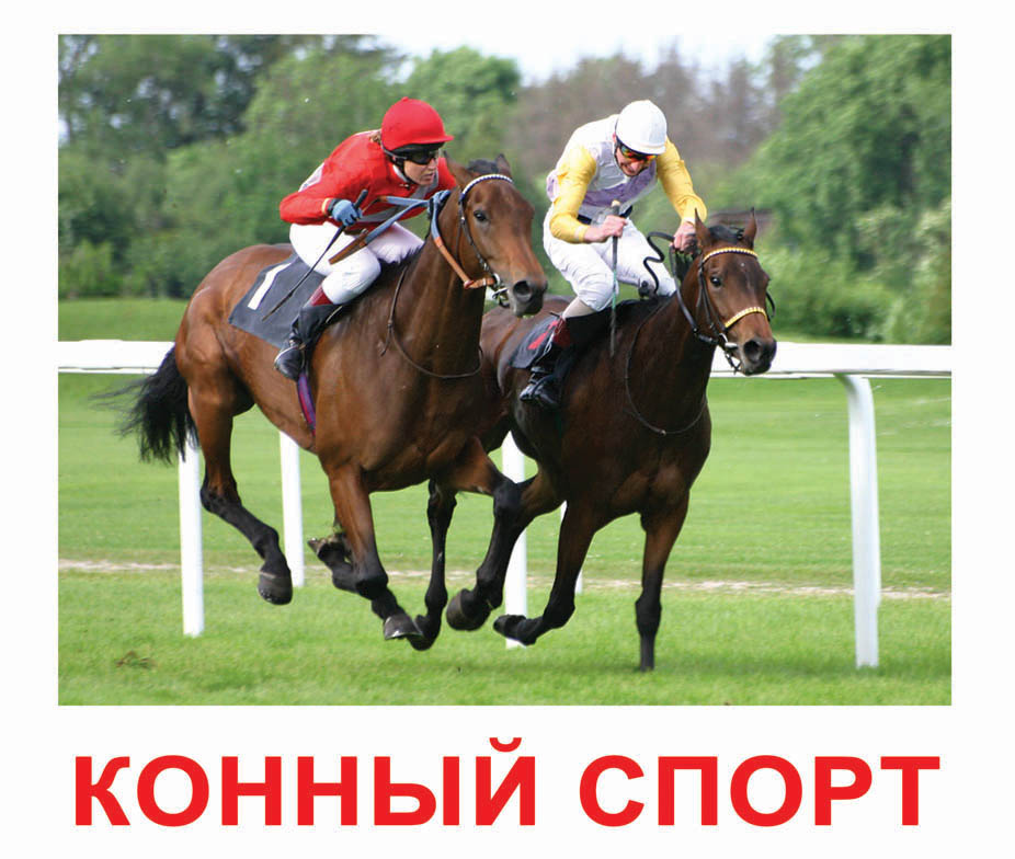 "Спорт" (с фактами и заданиями), карточки большие (16,5х19,5см.)