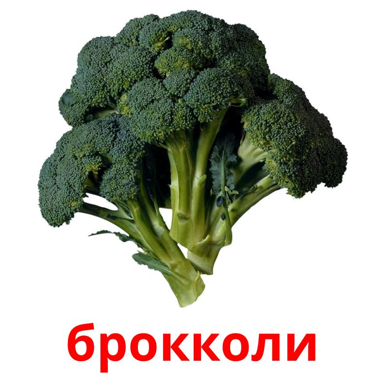 Овощи, 40 мини-карточек с фактами (9х10см)