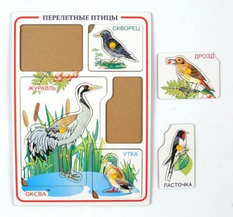 Рамки-вкладыши Перелетные птицы, дерев.