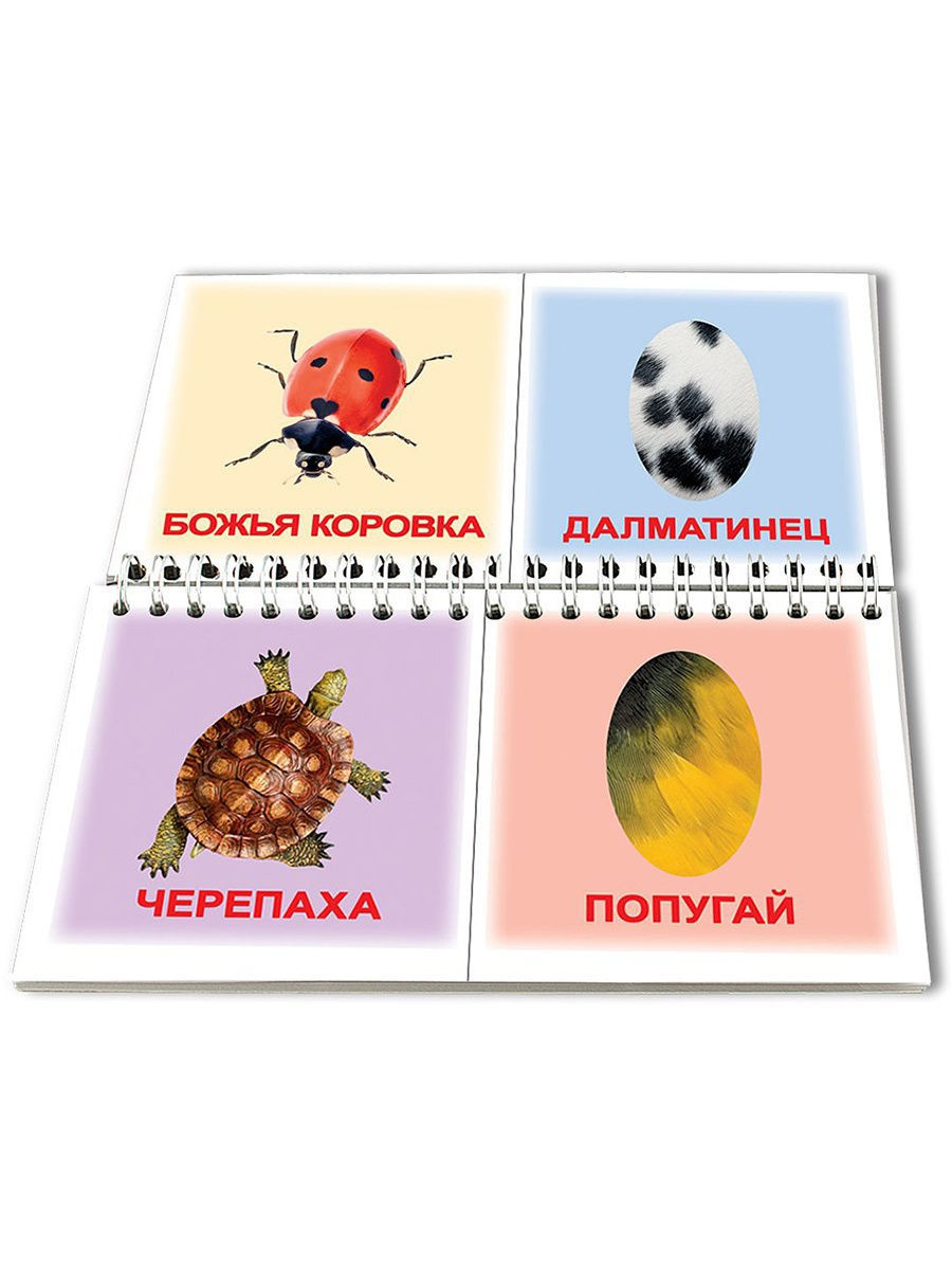 Книга-пазл Кто как одет. Вундеркинд с пеленок